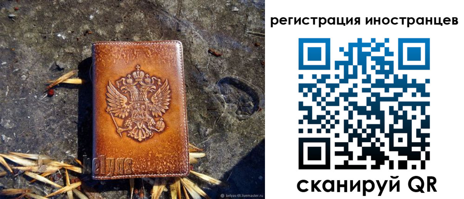 прописка регистрация в Краснозаводске